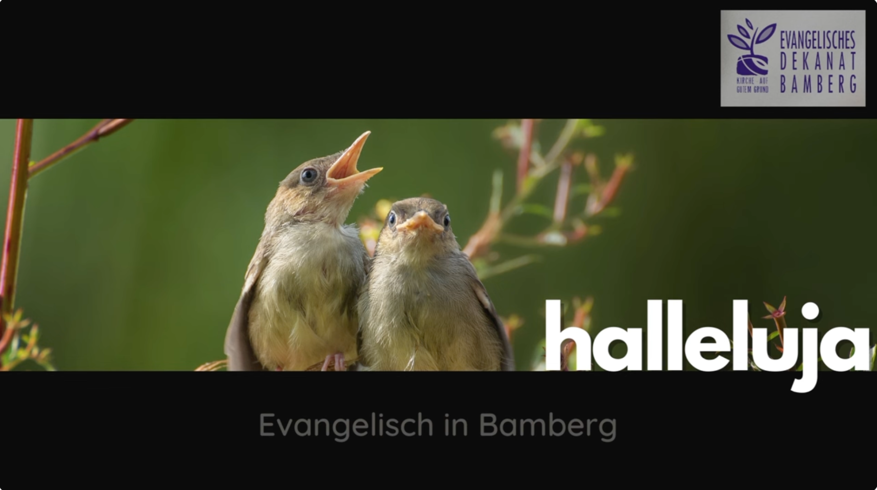 Zwei Singvögel auf einem Ast