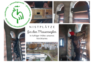 Bilder vom inneren des Kirchturms und der Montage der Nistkästen