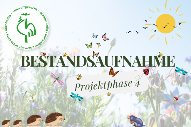 Grüner Gockel, Blumenwiese und Schriftzug für die Projektphase 4